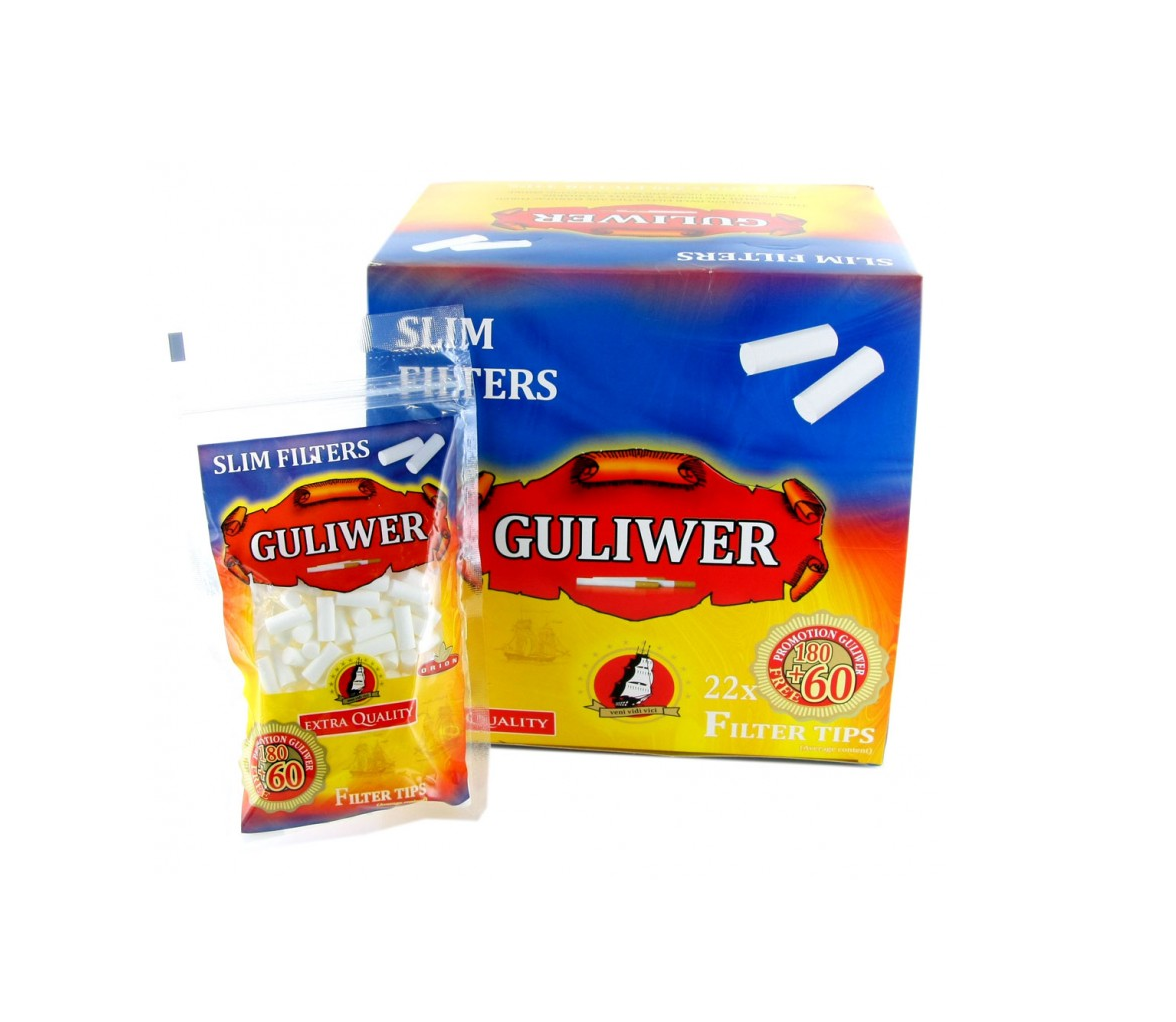 GULIWER 6MM (22X240)